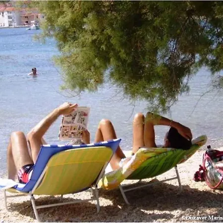 In 7337 Vinišće